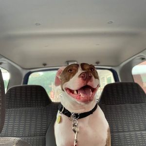 Meet your Posher, Jaycee